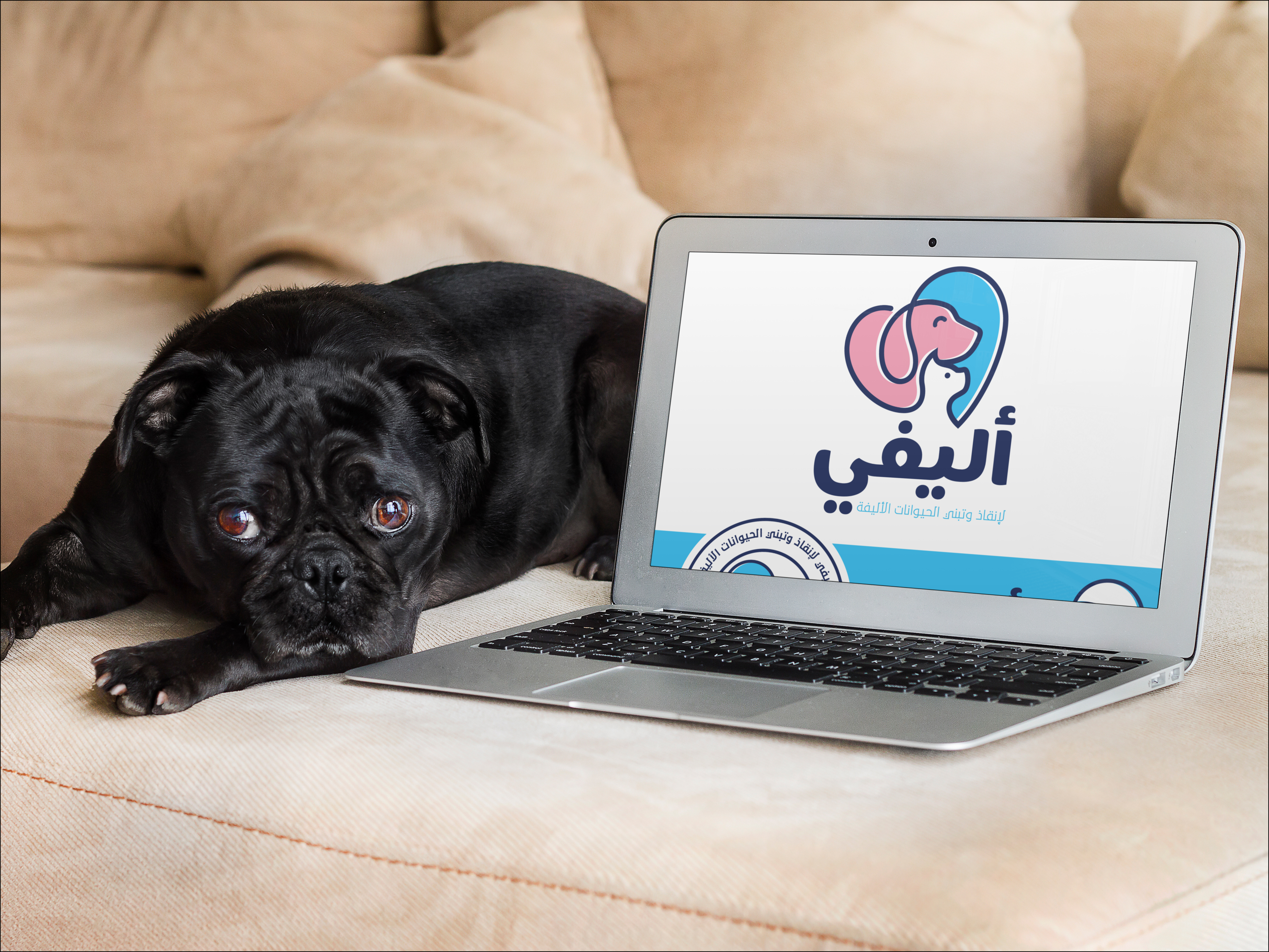 cute-dog-and-macbook-over-couch (1)